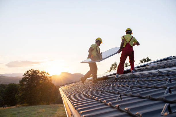 Best Solar Panel Roofing Installation  in Las Lomas, TX