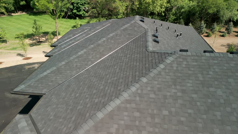 Best Green or Eco-Friendly Roofing Solutions  in Las Lomas, TX