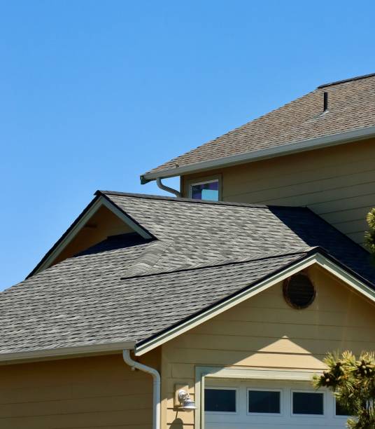 Best Sheet Metal Roofing  in Las Lomas, TX